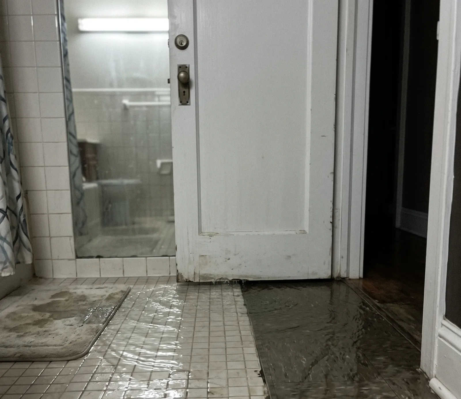 Emergency water extraction methods in Lakeville, MN
